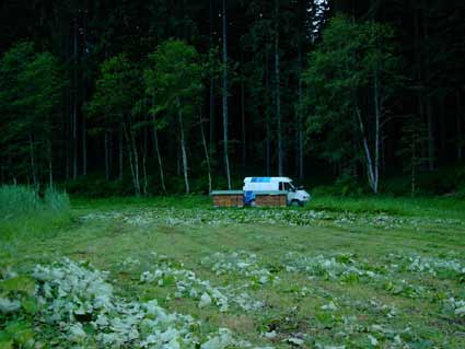 Die Völker in der Waldtracht.