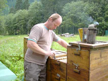 die tägliche Arbeit bei den Bienen