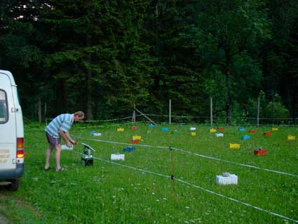 Belegstelle in den Voralpen