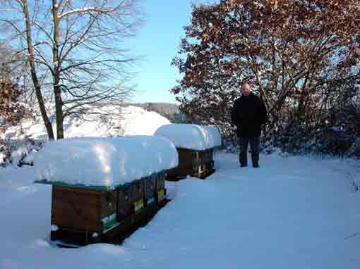 Die Völker im Winter